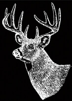 etching of a large buck
