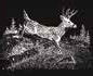 gun cabinet glass etching of deer fleeing