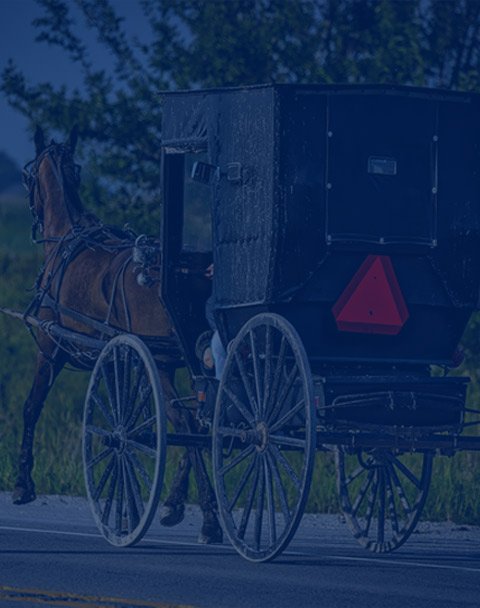 amish horse and buggy going down a road